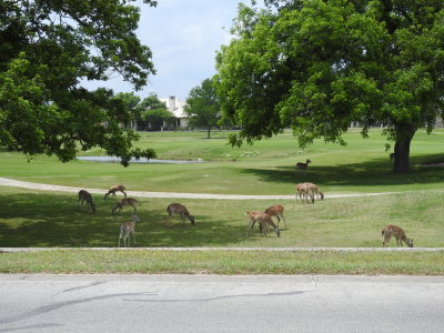 DSCN9012.JPG