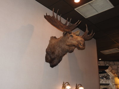 DSCN9018.JPG