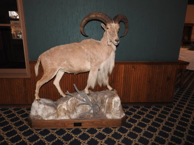 DSCN9019.JPG