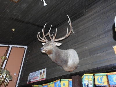 DSCN9026.JPG