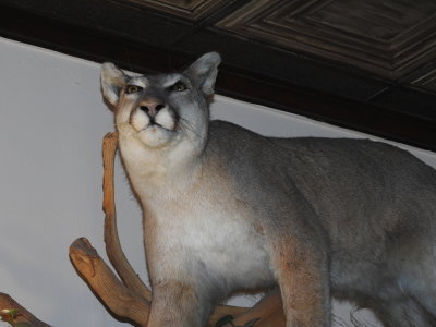 DSCN9027.JPG
