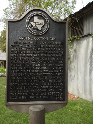 DSCN9055.JPG