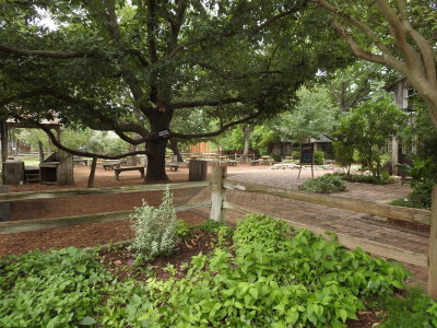 DSCN9057.JPG