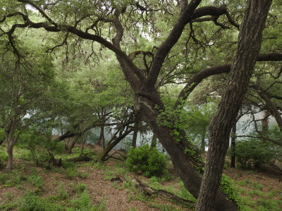 DSCN9062.JPG