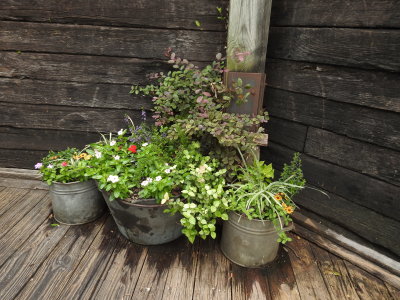 DSCN9063.JPG