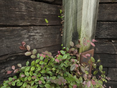 DSCN9065.JPG