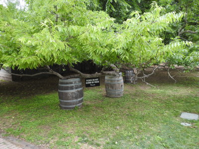 DSCN9071.JPG