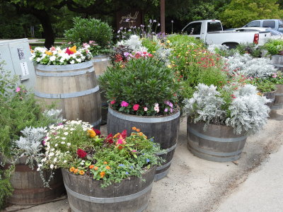 DSCN9086.JPG