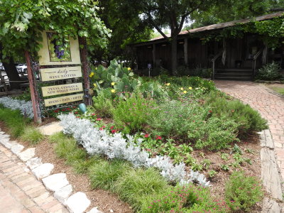 DSCN9090.JPG
