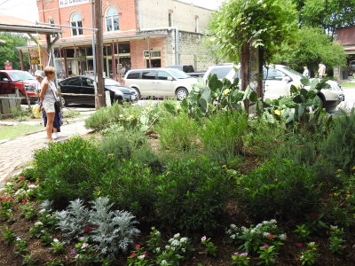 DSCN9093.JPG