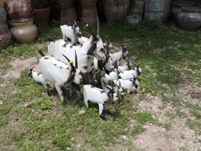 DSCN9105.JPG