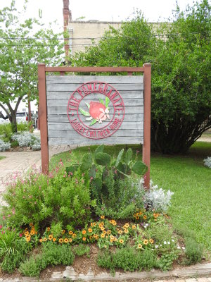 DSCN9123.JPG
