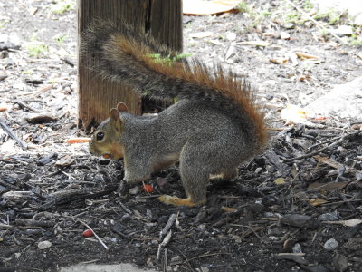 DSCN9133.JPG