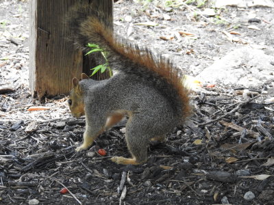 DSCN9134.JPG