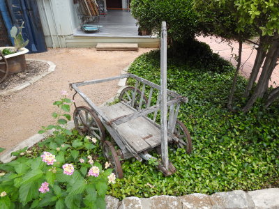 DSCN9138.JPG