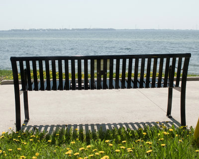 Serenity Benches