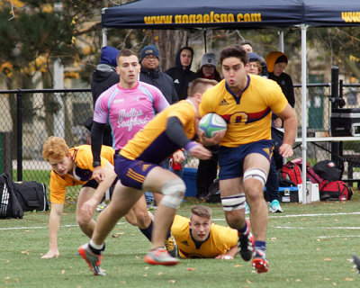 Queen's vs Laurier 00220 copy.jpg