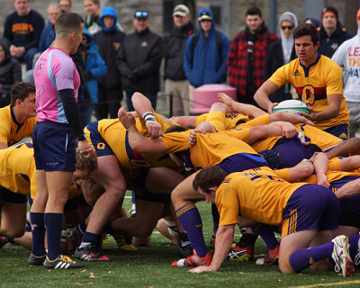 Queen's vs Laurier 00261 copy.jpg