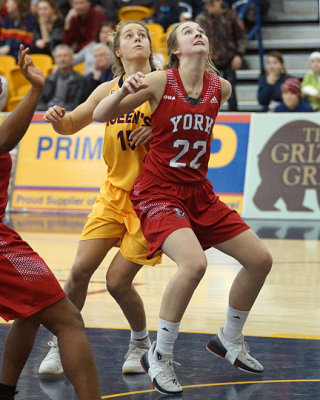 Queen's vs York 03996 copy.jpg