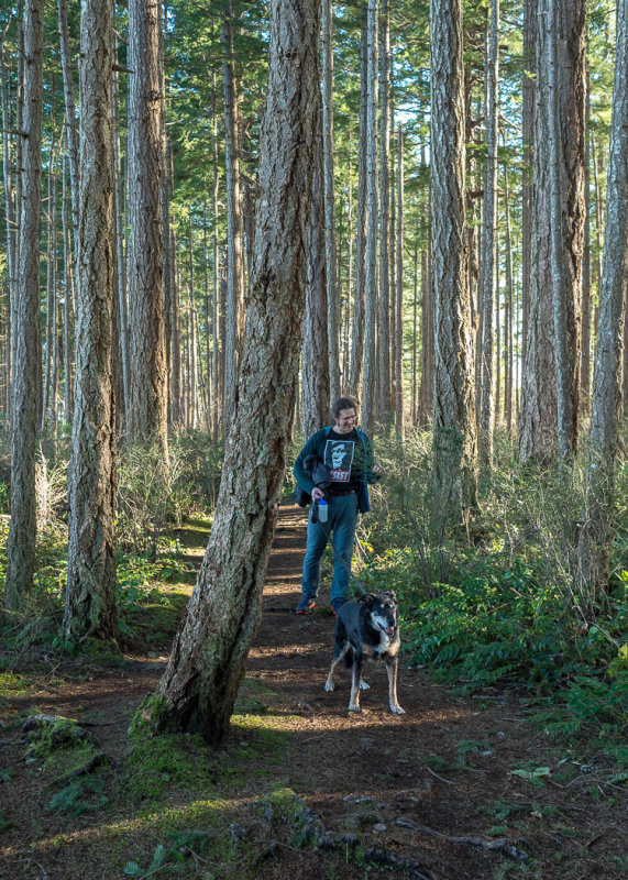Walking the Dogs