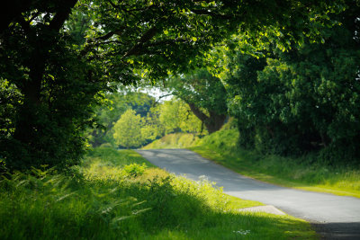 20170601 - The Road Home