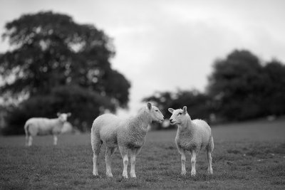 20170606 - Miserable Weather Again