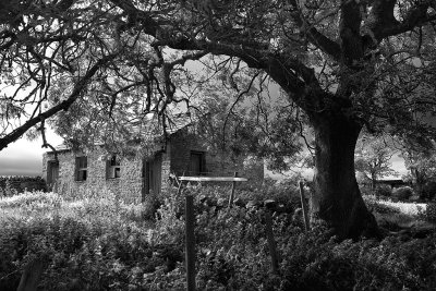 20170701 - Dilapidated