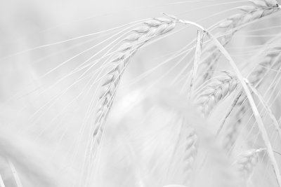 20170705 - Looks About Ready