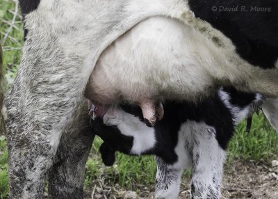 Mealtime