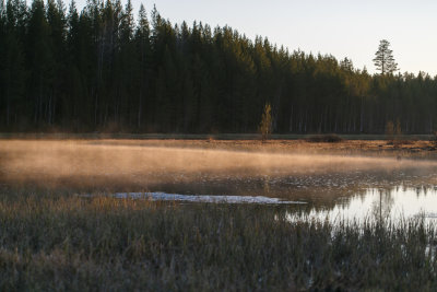 IMGM3656.jpg