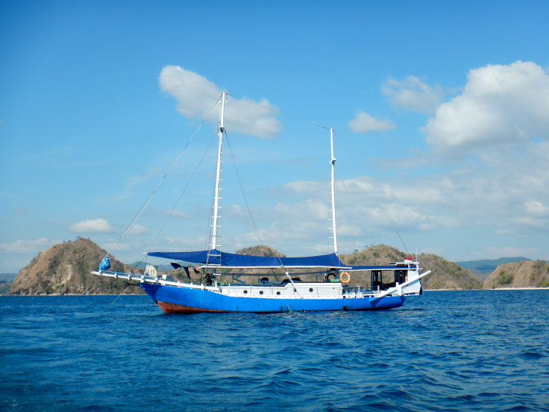 Komodo Rinca Indonesia