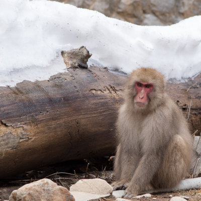 DSC_7935-DEV.jpg