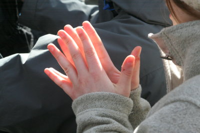 IMG_5155.JPG