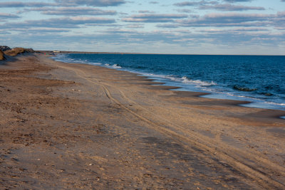 IMG_5719.jpg