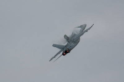 IMG_5082.jpg