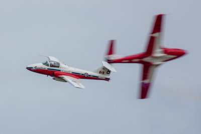IMG_5178.jpg