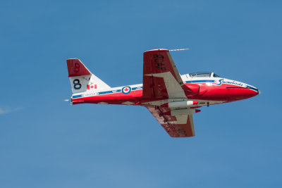 IMG_5384.jpg
