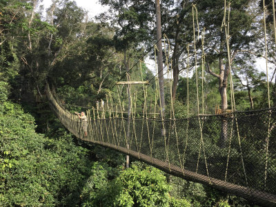 Kakum canopy walkway