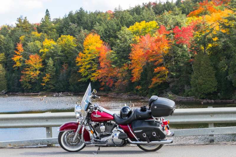 Algonquin Park