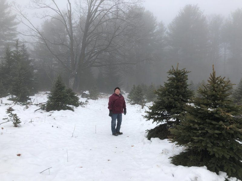 The annual Christmas tree hunt