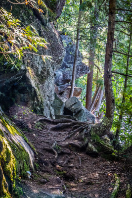 Trail into Solitude