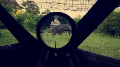 View from the Blind