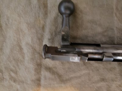 20181215_145935.jpg