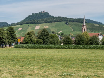 St. Jacobus with Yburg Castle in the background