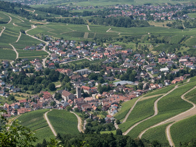 Neuweier and the vineyards