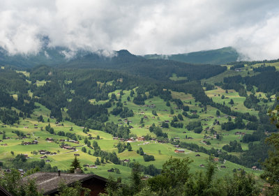Grindelwald Countryside