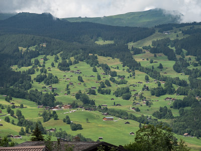 Grindelwald Countryside
