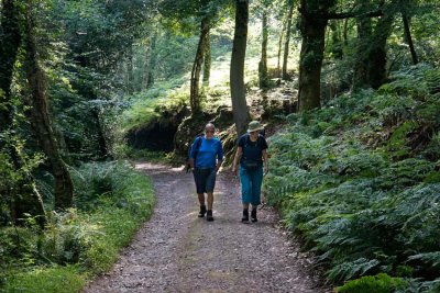 _DSC8134-Walk-to-Minehead.jpg