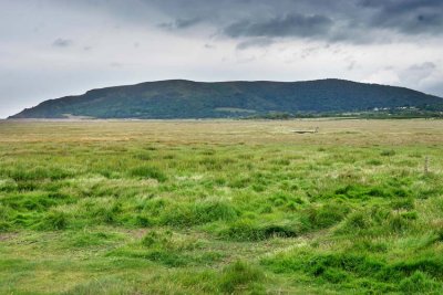 _DSC8236-Porlock-Marsh.jpg