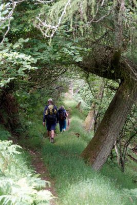 _DSC8276--Porlock-to-Lynmouth.jpg